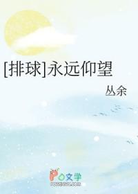 排球永远仰望免费阅读