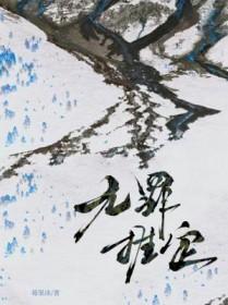 无罪推定剧情介绍