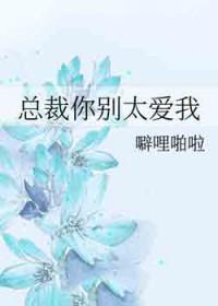 总裁你别太爱我简枝