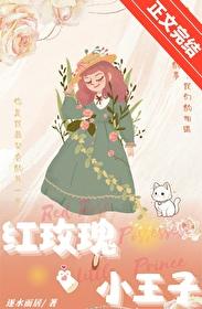 小王子×红玫瑰