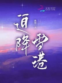 迫降雪港免费阅读