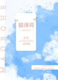 排球少年猫薄荷晋江