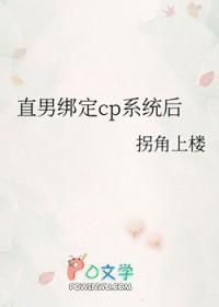 直男绑定cp系统后 免费阅读全文