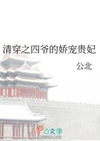 清穿之四爷的娇宠贵妃公北免费阅读