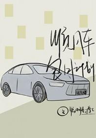 顺风车包月计划by