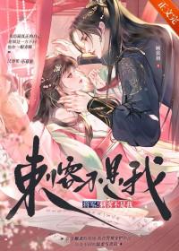 将军刺客不是我顾初裳