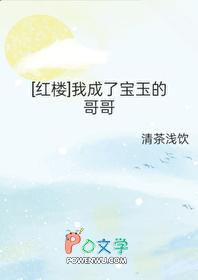 红楼 我成了宝玉的哥哥免费阅读