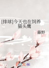 排球今天也在饲养猫头鹰