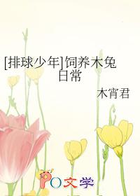 排球少年饲养木兔日常木宵君