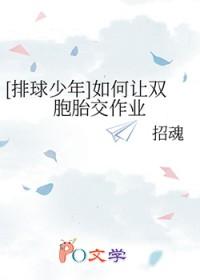 排球少年堵在春高上的青春