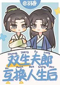 双生夫郎互换人生后免费阅读