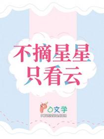 摘星星by不问三九剧透