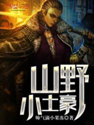 山野小农民 免费阅读