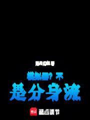 模拟器不是分身流篱笆文学网