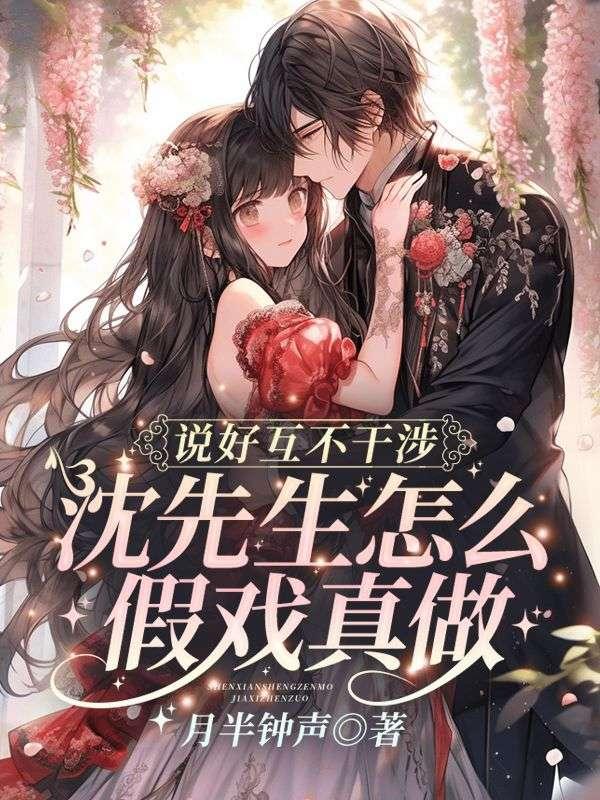 沈先生用的什么软件