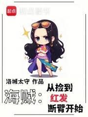 海贼从捡到红发断臂开始笔趣阁免费阅读