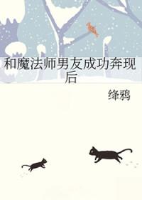 魔法师男主和谁在一起了