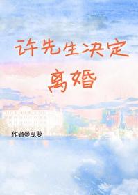 许先生决定离婚讲的什么故事