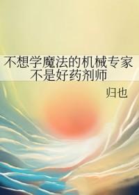 不想学魔法的机械专家不是好药剂师晋江