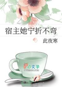 宿主她宁折不弯_此夜寒