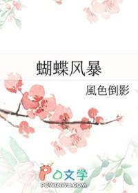 网王蝴蝶风暴