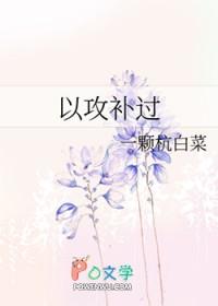 以攻补过反攻成功了吗