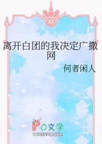 海贼王白团成员