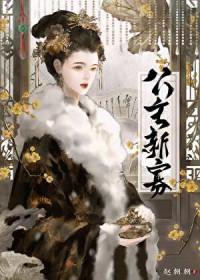 公主新寡大结局是什么