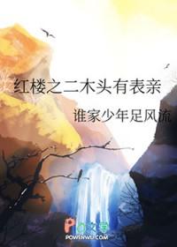 红楼之二木头的幸福路