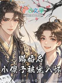 赐婚后小傻子被宠入怀完整版