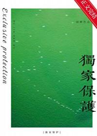 独家保镖哪里能看