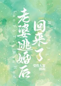 老婆逃婚后回来了! 番外