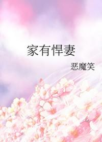 家有悍妻下一句押韵