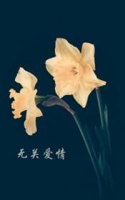 无关爱情的感情