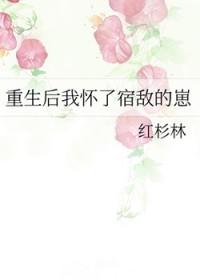 重生后我怀了宿敌的孩子