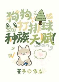 狗狗打排球的电影