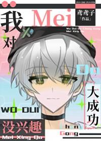 我对大成功不感兴趣