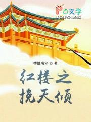 红楼之挽天倾 追书