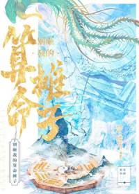 别砸我的算命摊子gl