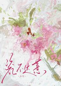 瓷不旧是什么意思