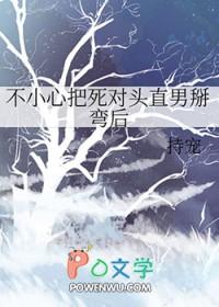 不小心把死对头直男掰弯后持宠