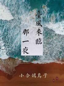 台风来临的那一夜by小合鸽鸟