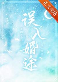 误入婚途免费阅读