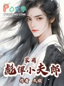 家有彪悍小夫郎(点绘)多少字