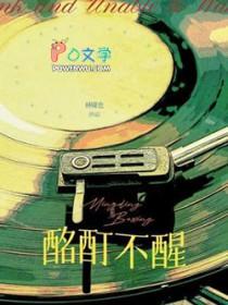 酩酊不醒by林萧也番外