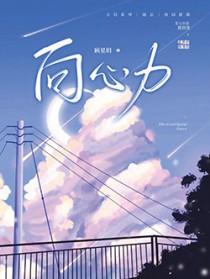 向心力和凝聚力的区别