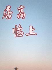 居高临上TXT