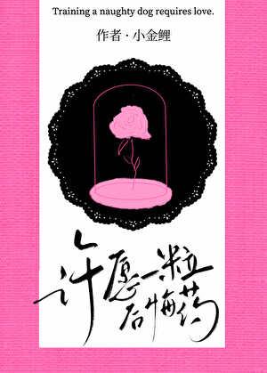 许愿一粒后悔药by小金鲤免费阅读