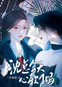 沈总今天心软了吗晋江