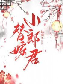 替嫁小郎君陆渔免费阅读